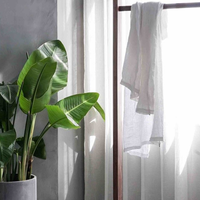 Conocé las plantas que toleran el vapor y la humedad y tienen las flores más hermosas