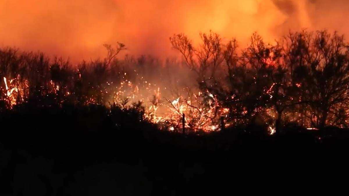 Incendio Forestal. Fuente: (Twitter)