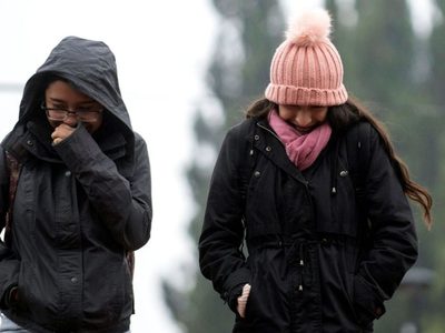 Clima en Neuquén: viernes con nevadas, ráfagas intensas y temperaturas bajo cero