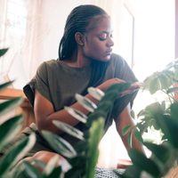 Así lograrás que las plantas de exterior prosperen en el interior del hogar