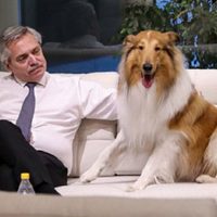 Fernández festejó el cumpleaños de uno de los principales personajes de la campaña: su perro Dylan