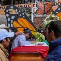 “El guardián de las monarcas” y el crimen del ambientalista Homero Gómez