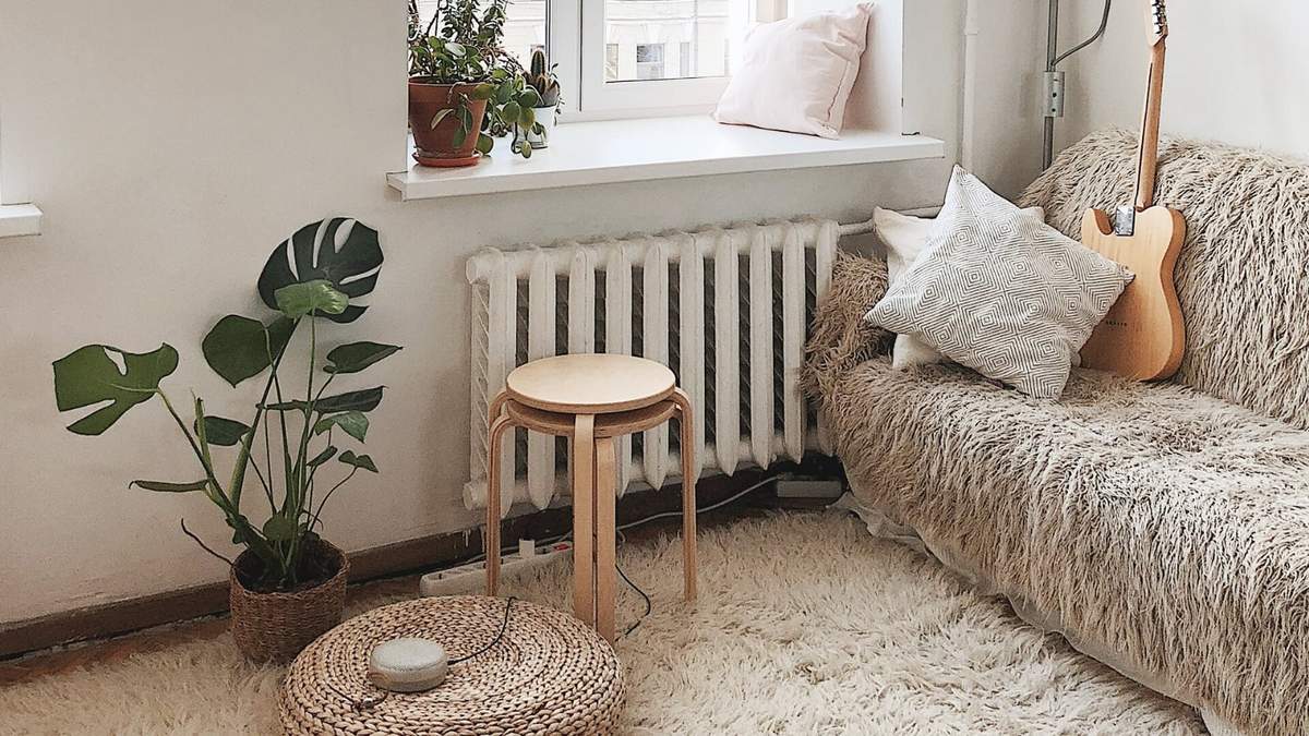 Plantas. Fuente: (Instagram)