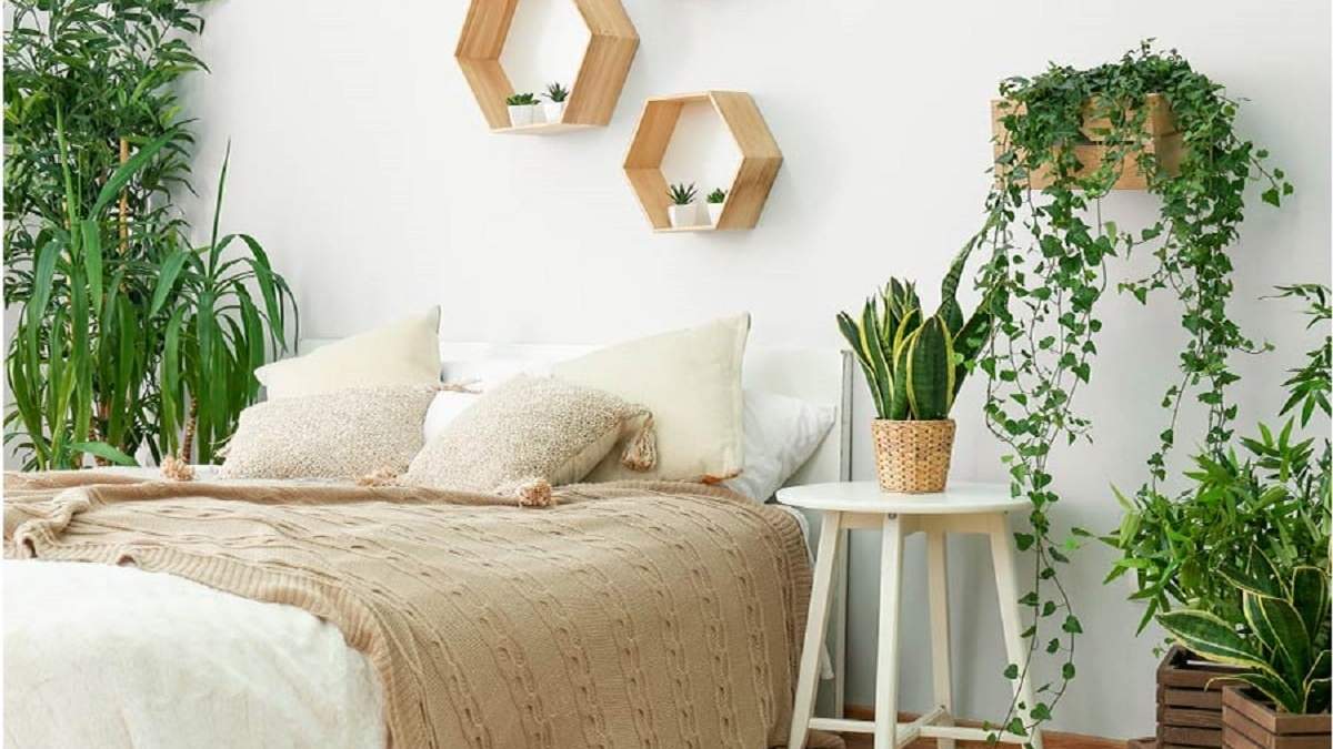 Plantas. Fuente: (CasaPlanta Vigo)