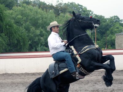 Jueza autoriza que "El Bronco" pueda salir a trabajar en su rancho todos los días
