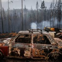 Catástrofe en la Comarca Andina: qué pistas manejan los peritos sobre los incendios