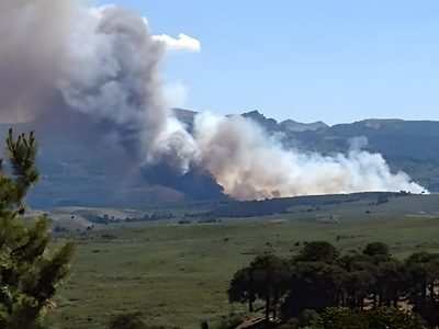 Setenta efectivos trabajan para contener un grave incendio forestal en Aluminé