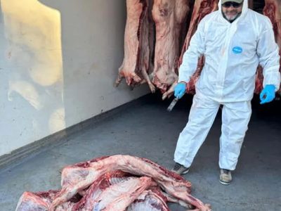 Más de 1600 kilos de carne fueron secuestrados por irregularidades y mal estado