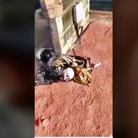 Difunden en video restos óseos hallados en una vicefiscalía de Oaxaca; la FGEO denuncia alteración