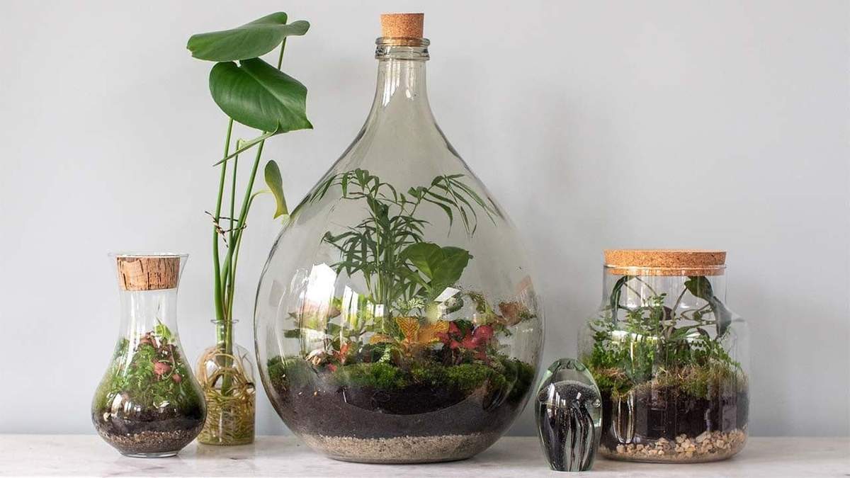 Botellas de vidrio. Fuente: (Instagram)