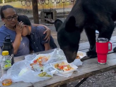 Madre protege a su hijo mientras un oso irrumpe en su día de campo y come tacos y enchiladas (Video)