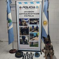 Zapala: detuvieron a un pasajero que llevaba marihuana por más de 8 millones de pesos en un colectivo