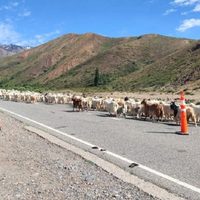 Seguridad Vial realiza operativos en todas las rutas provinciales durante este finde XXL