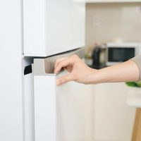 Gratis y rápido: el secreto para eliminar el moho en la goma de la heladera con solo 2 productos