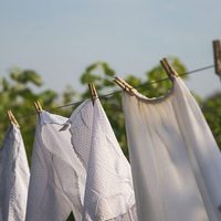 No tires los broches de madera viejos para tender la ropa: creá este organizador que no parece reciclado
