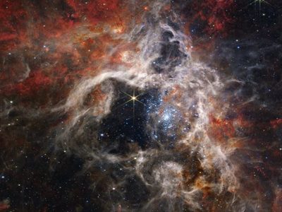 El telescopio Webb de la NASA captura una tarántula cósmica