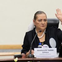 Taddei consuma el control de áreas clave del INE gracias a reforma impulsada por Morena