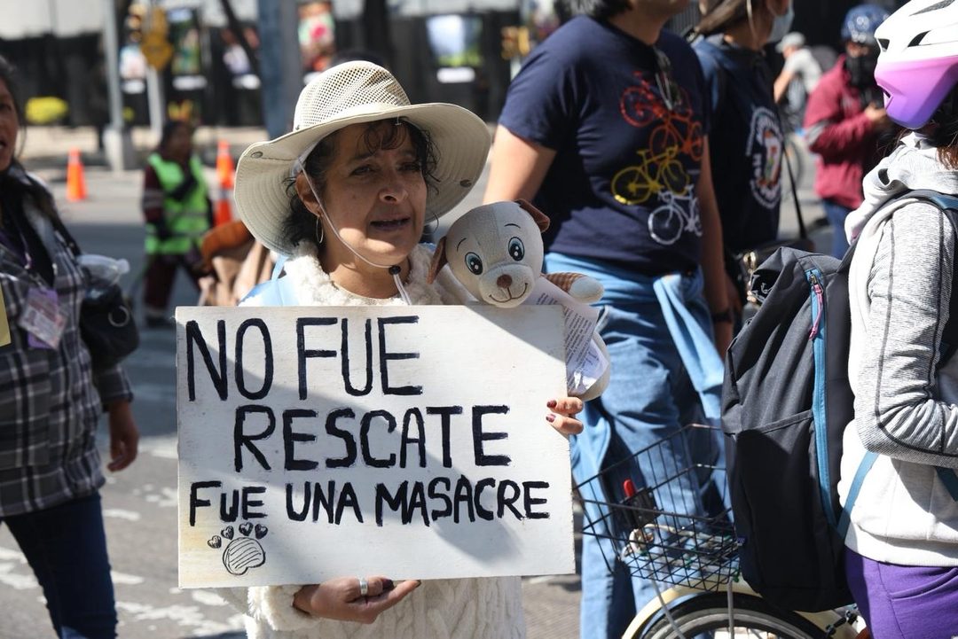 refugio4