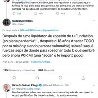 Salinas Pliego llama malagradecida a extrabajadora liquidada durante la pandemia