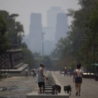 Vivir en un medio ambiente sano, sin riesgos, limpio y sostenible es un derecho humano: ONU