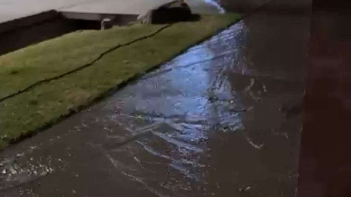 Importante pérdida de agua.