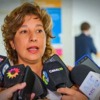 Tomas en Río Negro: grave acusación de Arabela Carreras