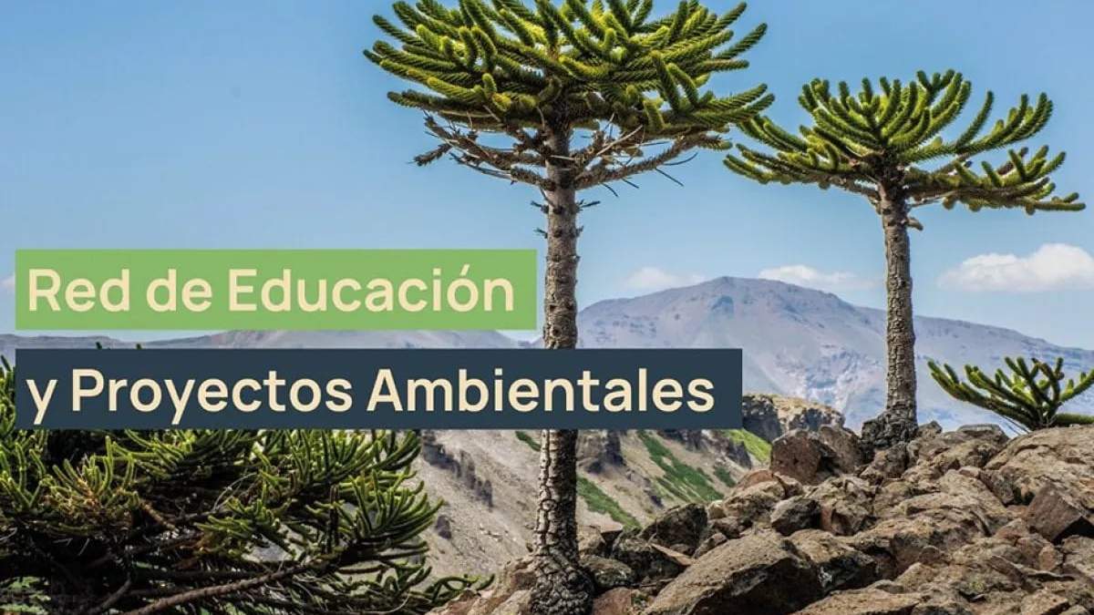 Sustentabilidad. Fuente:(X).