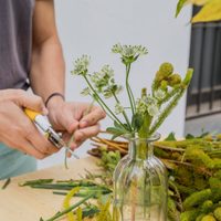 El truco viral para preservar tus flores, que no se pudran ni marchiten y luzcan como el primer día