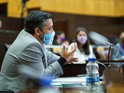 Mansilla se aleja del Frente de Todos