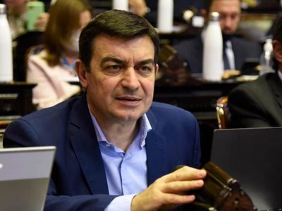 Omar De Marchi: “Mendoza tiene que avanzar en Portezuelo del Viento”