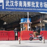 Mercado de Wuhan tuvo un rol claro en el brote del covid-19: OMS