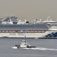 Murieron dos pasajeros del crucero Diamond Princess por Coronavirus