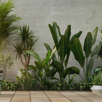 La planta que no necesitás cuidar mucho y es perfecta para el invierno