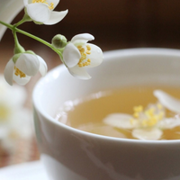 La planta de hermoso perfume que muchos tienen en su jardín y que puede traerte grandes beneficios