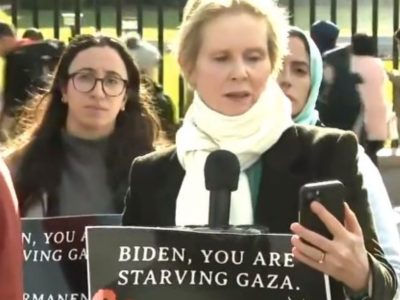 Cynthia Nixon, actriz de Sex and The City, se declara en huelga de hambre por alto al fuego en Gaza