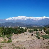 Aceitunas y aceite de gran calidad: Chilecito, un lugar único en Argentina