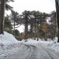 Figueroa aseguró que la Ruta 60 hasta Mamuil Malal es prioridad para el gobierno