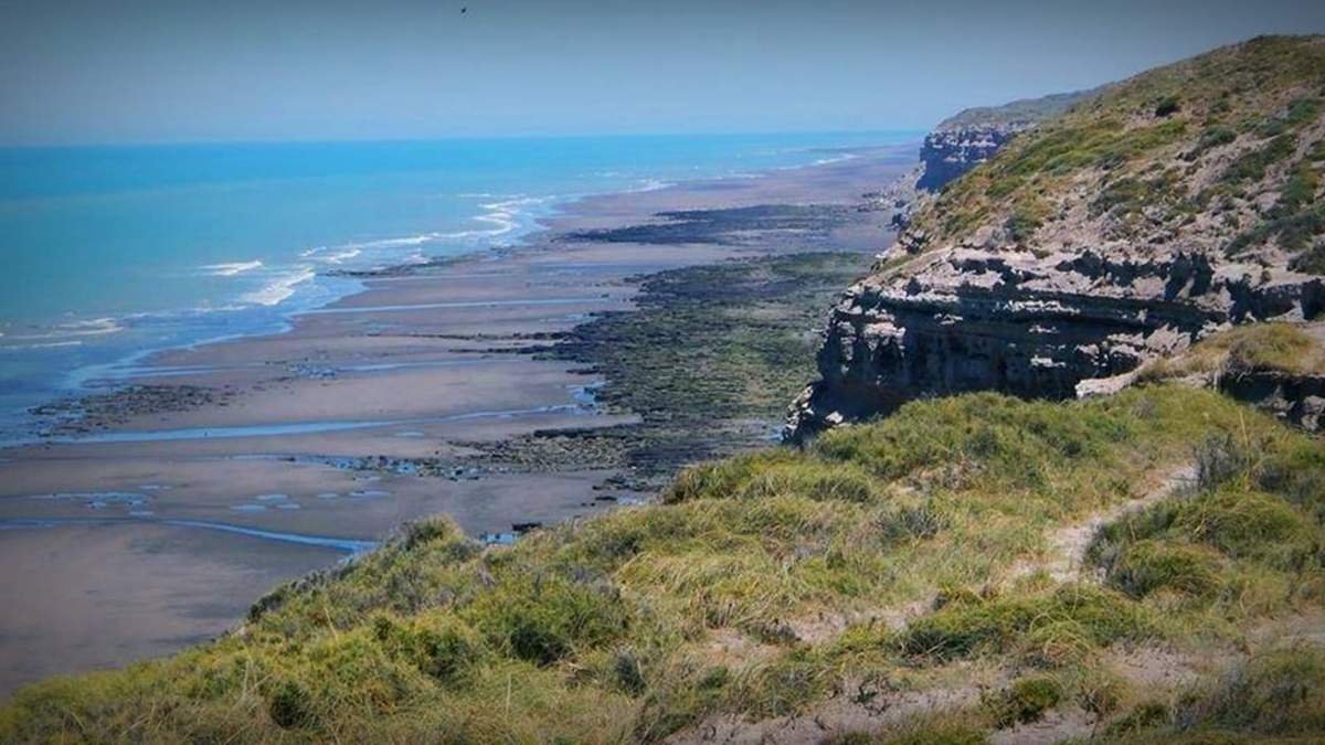 Costa de Viedma Fuente: (Twitter)