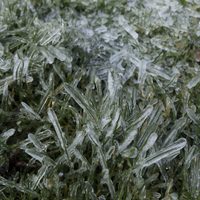 Clima en Neuquén: Miércoles con fuertes heladas, frío y viento