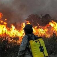 Crecen los incendios forestales en Bolivia y afectan directamente a la región de Argentina