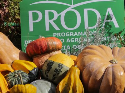 Zapala: desde el Programa Proda asisten a 400 vecinos con semillas y asesoramiento