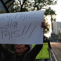 México deja sin efecto la regulación que impedía importación del maíz transgénico