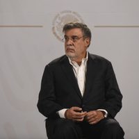 Julio Scherer Ibarra, la campaña