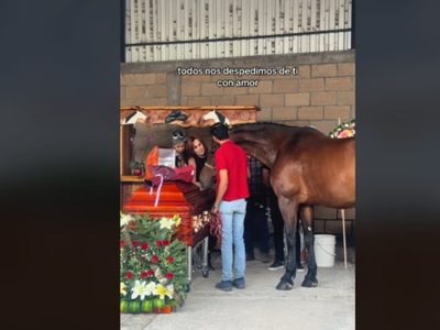 Así fue el emotivo funeral de la activista Elena Larrea en Cuacolandia (Video)