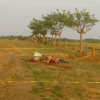 Hallan cinco cadáveres en la zona sur de Veracruz