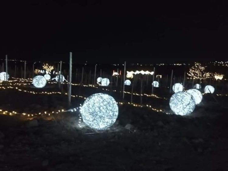 navidad-queretaro-2