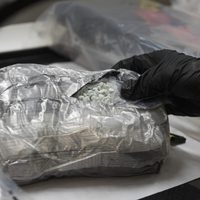 Mueren 288 personas al día en EU por sobredosis de drogas sintéticas