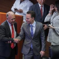 El PVEM sigue en desacuerdo con varios puntos de la reforma electoral
