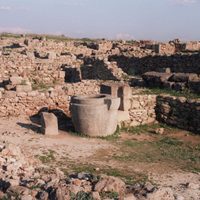Descubren ruinas de una prensa que usaban los fenicios para hacer vino