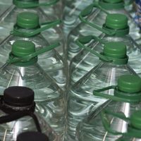 No tires los bidones de agua vacíos: mirá cómo te sirven para organizar tus verduras de forma rápida y sin gastar plata